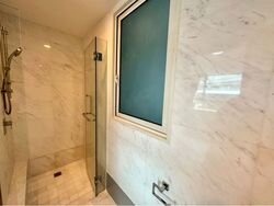 Suites At Orchard (D9), Apartment #578687761